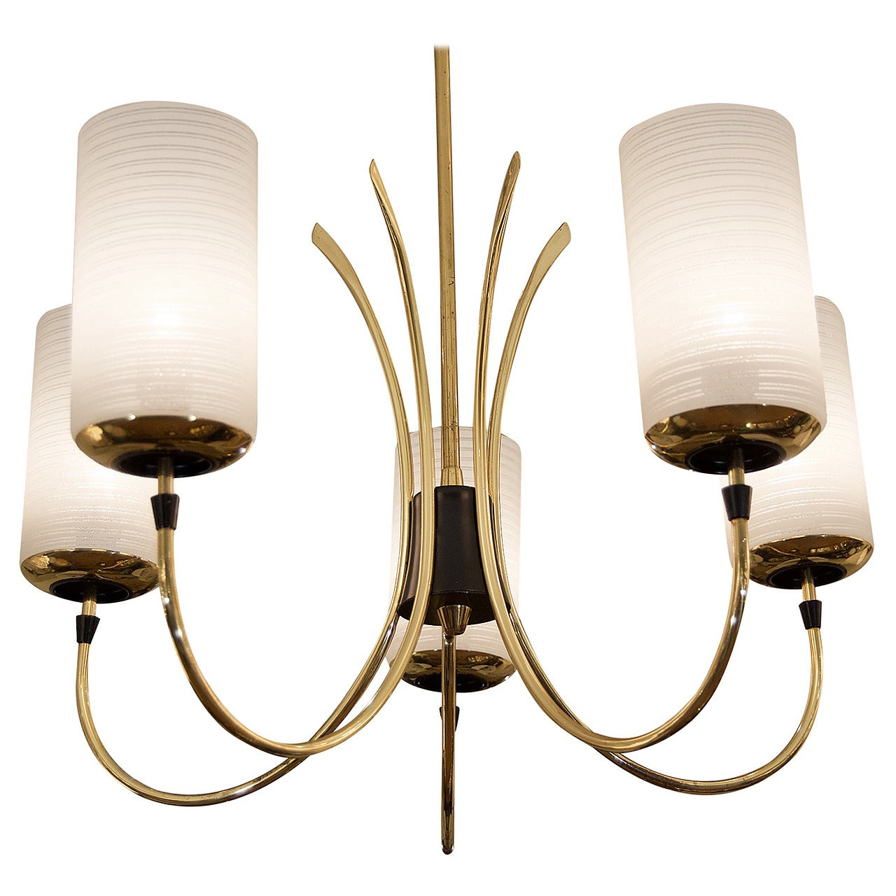 Five-Arm Chandelier in Brass with Cylindrical Glass Shades