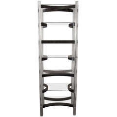 Sleek Lucite and Curved Wood Seven Shelf Etagere