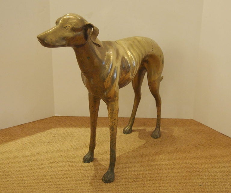 Unknown Large Brass Whippet or Greyhound