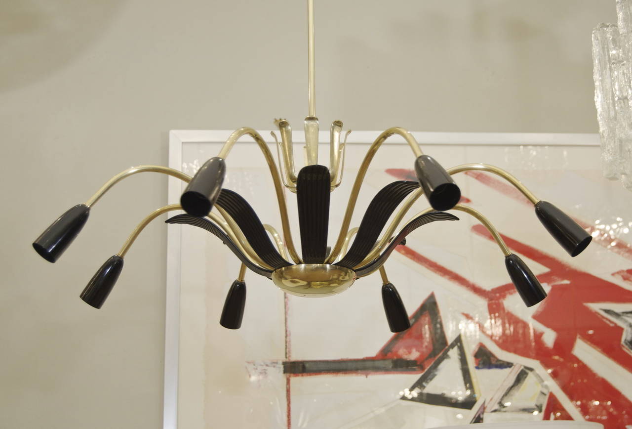 Excellent Floral Form Stilnovo Style Chandelier