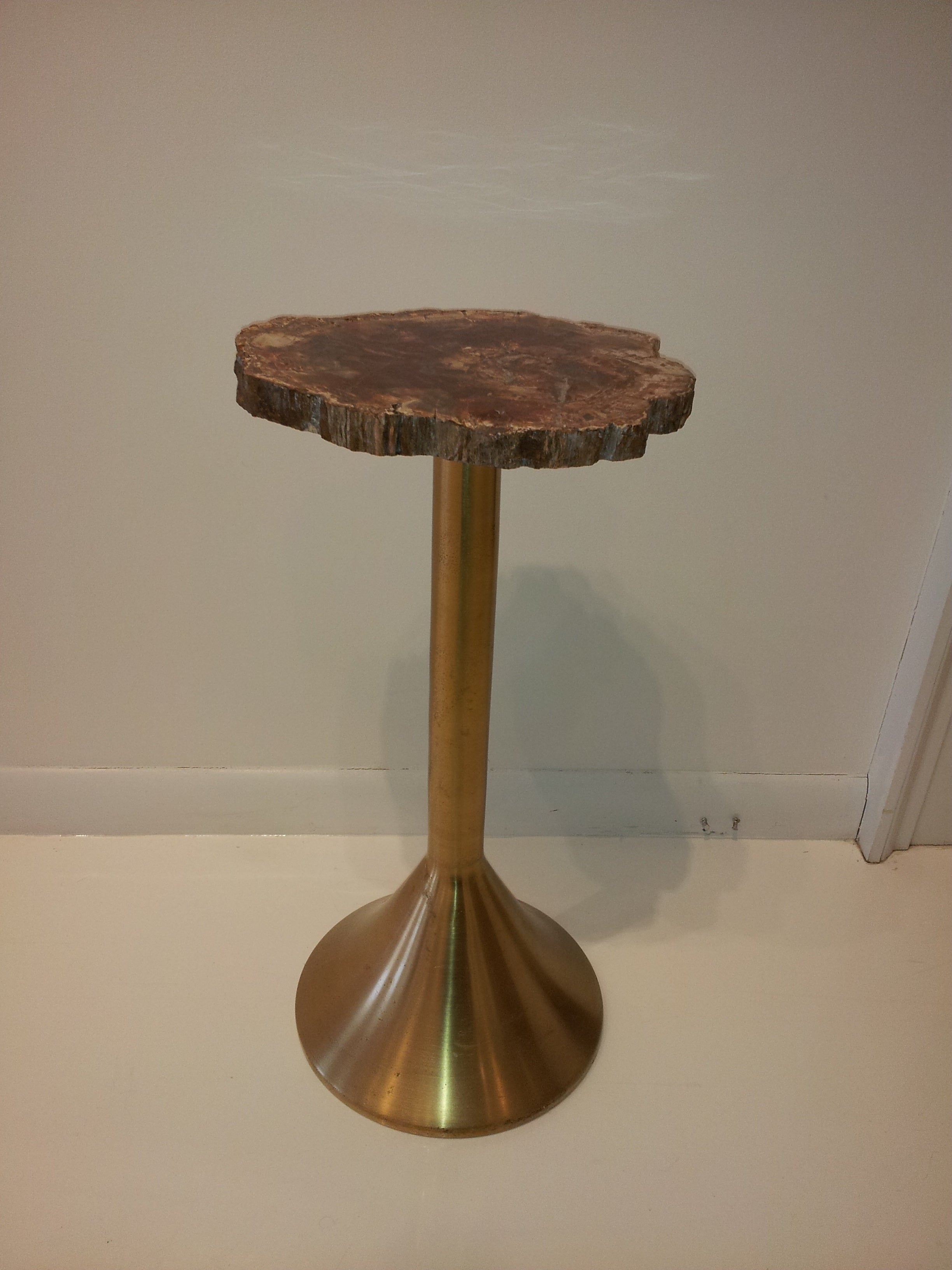 Petrified Stone Top Bronze Side Table