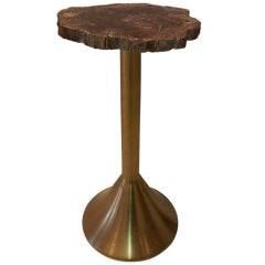 Vintage Petrified Stone Top Bronze Side Table