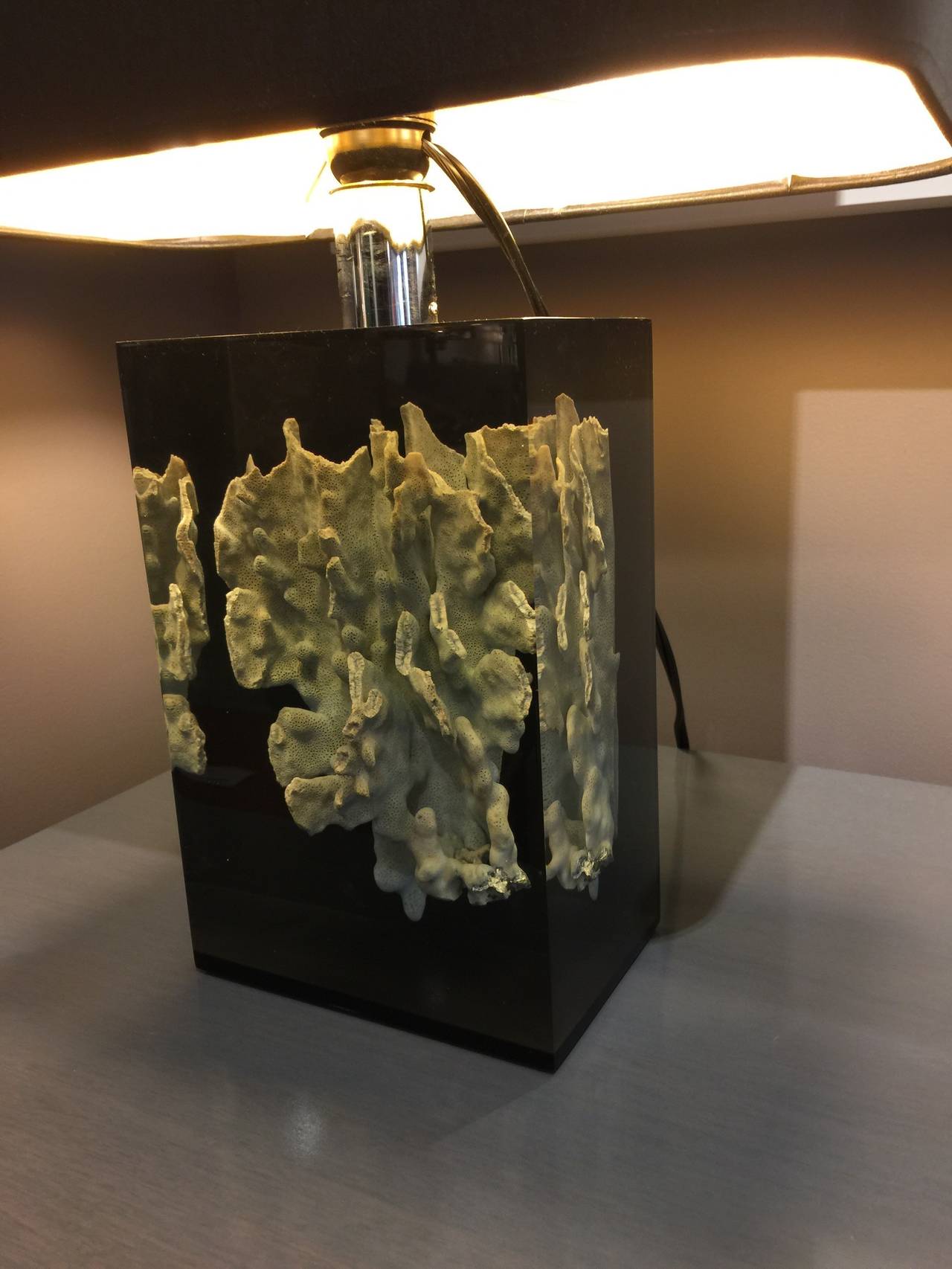 Custom paper shades on these newly rewired French beauties. Large natural coral specimens floating in perfectly clear acrylic block. Stunning!

Lucite block dimensions: 9