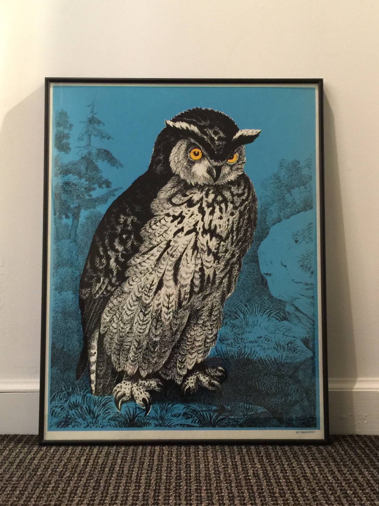Vintage NYC Tiber Press Print of "Mr. Owl"