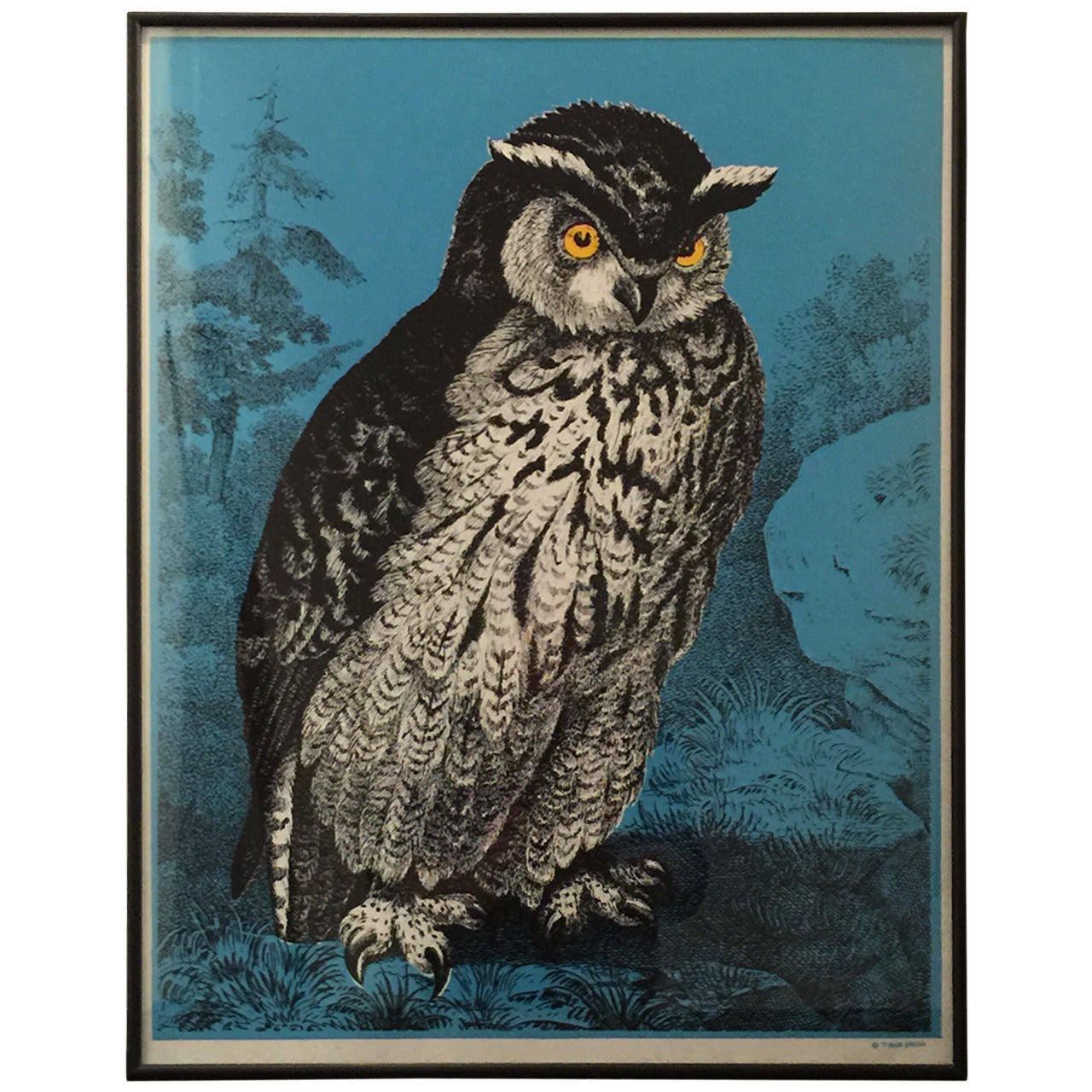 Vintage NYC Tiber Press Print of "Mr. Owl"