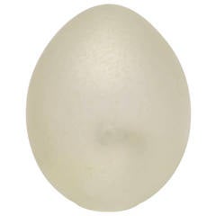 Oversized Vistosi Egg Murano Table Lamp