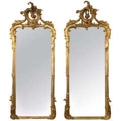 Pair of Tall 19th Century Venetian Gilded Mirrors