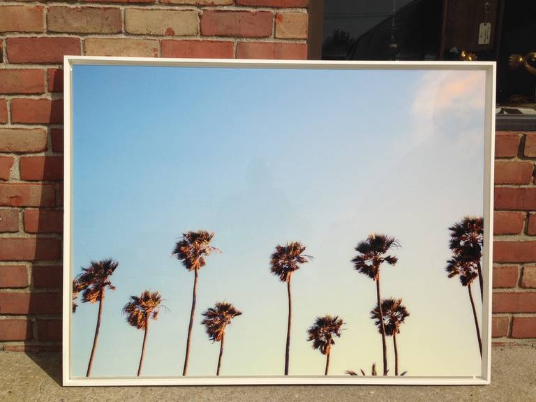 Beautifully mounted acrylic photograph in white frame, this hi resolution photography on acrylic is a perfect way to bring California in to your home.