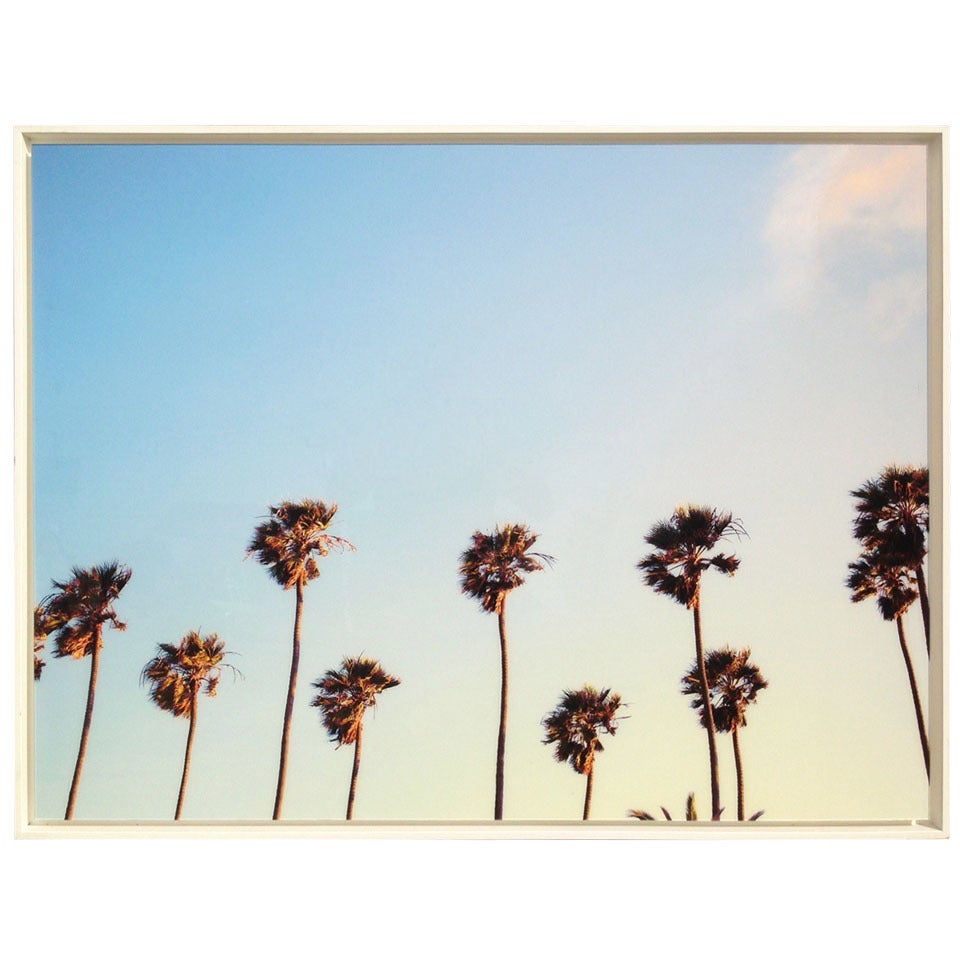 Oversized Framed Acrylic Photograph, "California Dreaming"