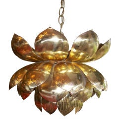 A Lotus Flower Etched Brass Hanging Light