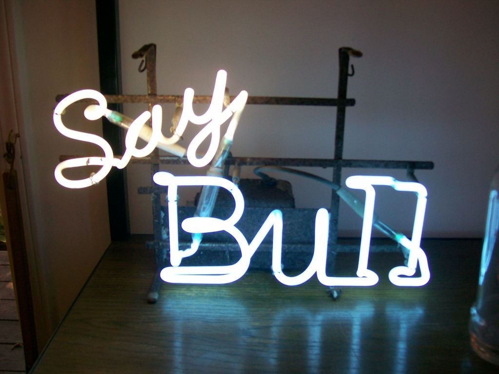 say bull neon sign