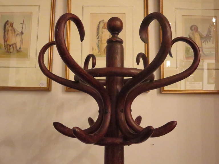 Astoria Grand Costumer Hand Carved Coat Rack Reviews Wayfair Like This Item