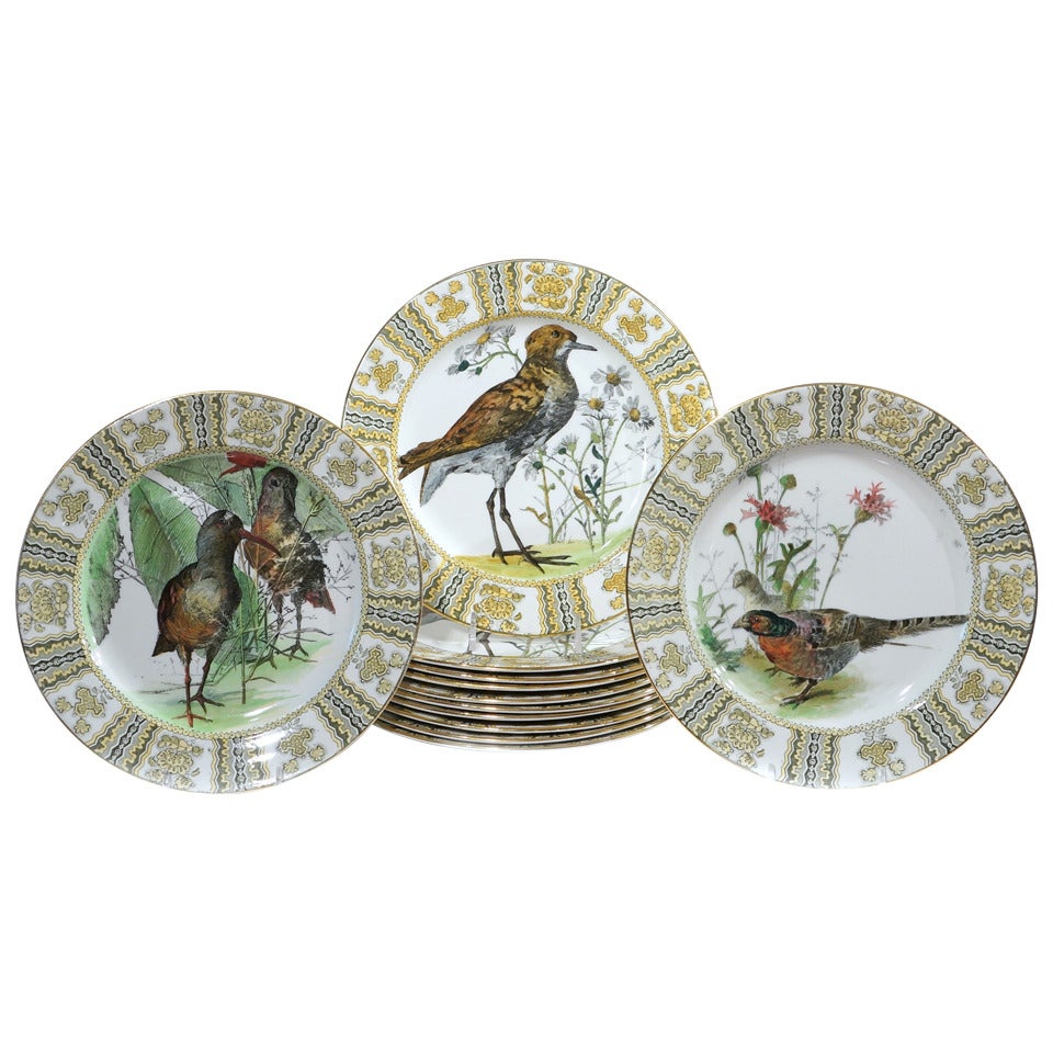 Set of 12 Royal Doulton Dinner Plates with Hand Colored Birds