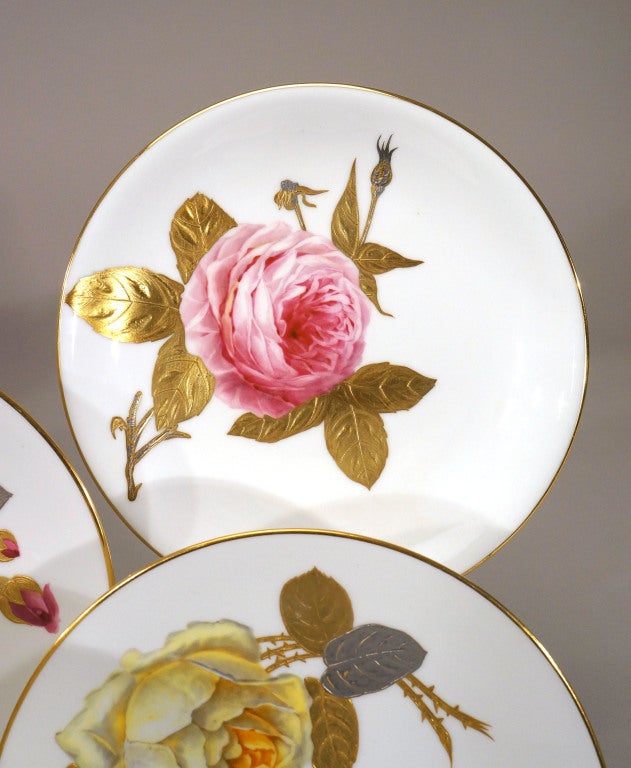 Platinum 12 Minton 19th C. Hand Painted Rose Plates With Gold