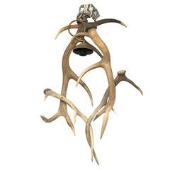 !9th C. French Antler Chandelier 4