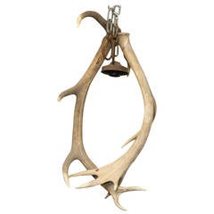 French 19th Century Antler Chandelier 8