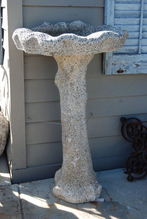 Bird Bath