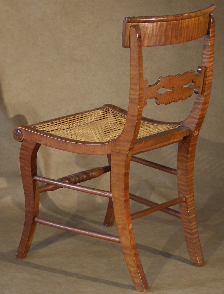 Two Pairs of American Tiger Maple Neoclassical Side Chairs, Ca. 1820 In Excellent Condition In Great Barrington, MA
