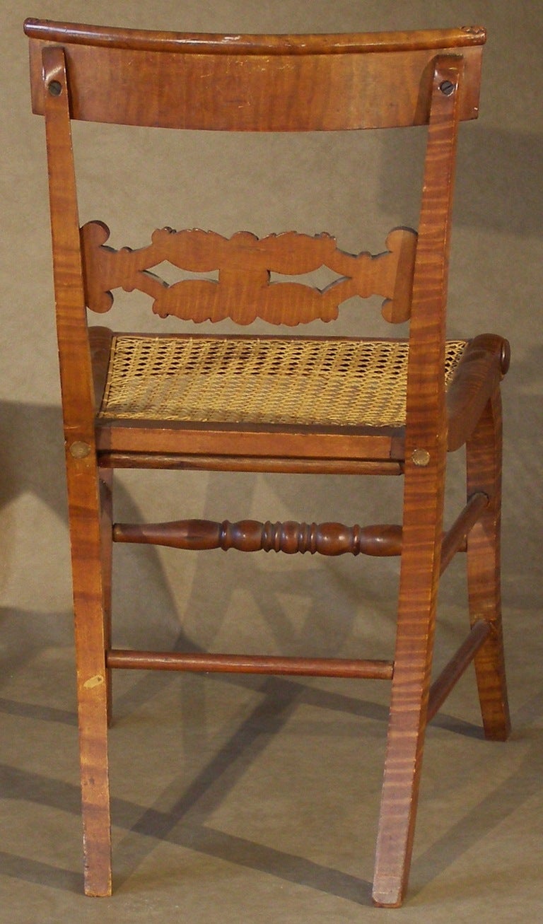 19th Century Two Pairs of American Tiger Maple Neoclassical Side Chairs, Ca. 1820