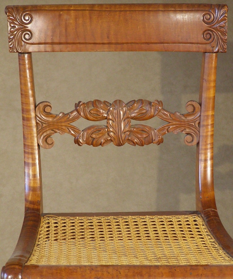 Two Pairs of American Tiger Maple Neoclassical Side Chairs, Ca. 1820 2