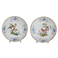 Pair of Meissen Ornithilogical Subject Saucers