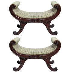 Fine and Rare Pair of Regency Mahogany Benches, Early 19th Century