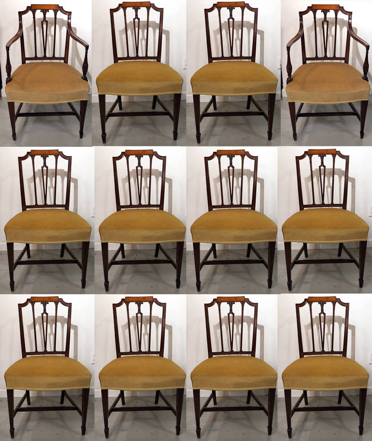 Fine Set of 12 Sheraton Satinwood-Inlaid Mahogany Dining Chairs, circa 1790