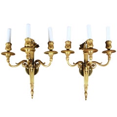 Antique A Fine Pair of Louis Style Gilt Bronze Sconces By Caldwell & Co.