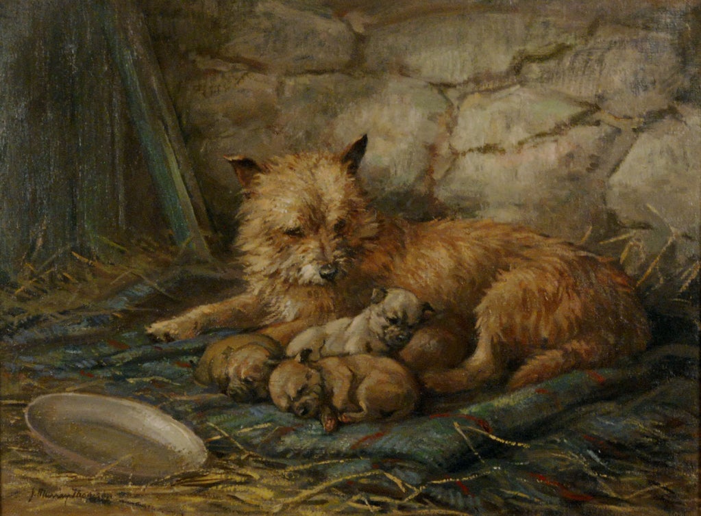 "Feeding Time" by John Murray Thomson
