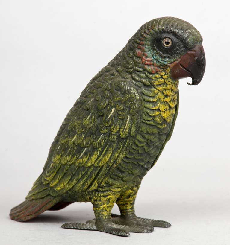 Large Viennese bronze cold-pained parrot with glass eyes, its feathers decorated in dark green, its beak in red with yellow on its chest.  The curved hook under its beak to be used as a watch holder.

Item #7232