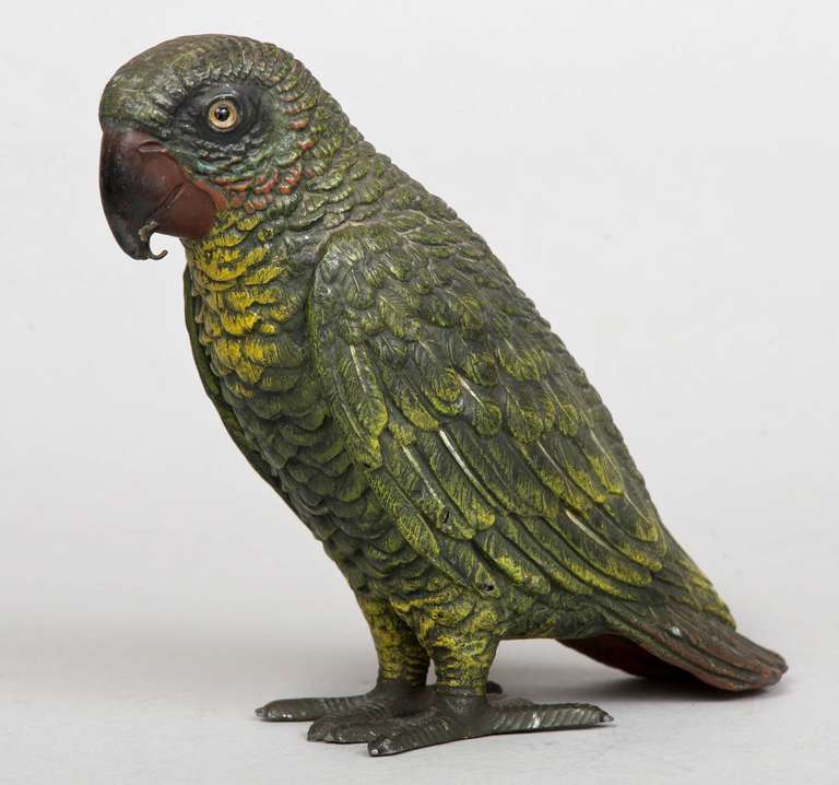 Austrian Vienna Cold-Painted Parrot circa 1870