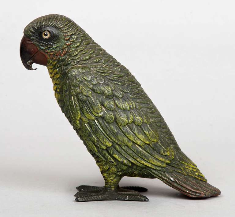 Vienna Cold-Painted Parrot circa 1870 In Excellent Condition In Sheffield, MA