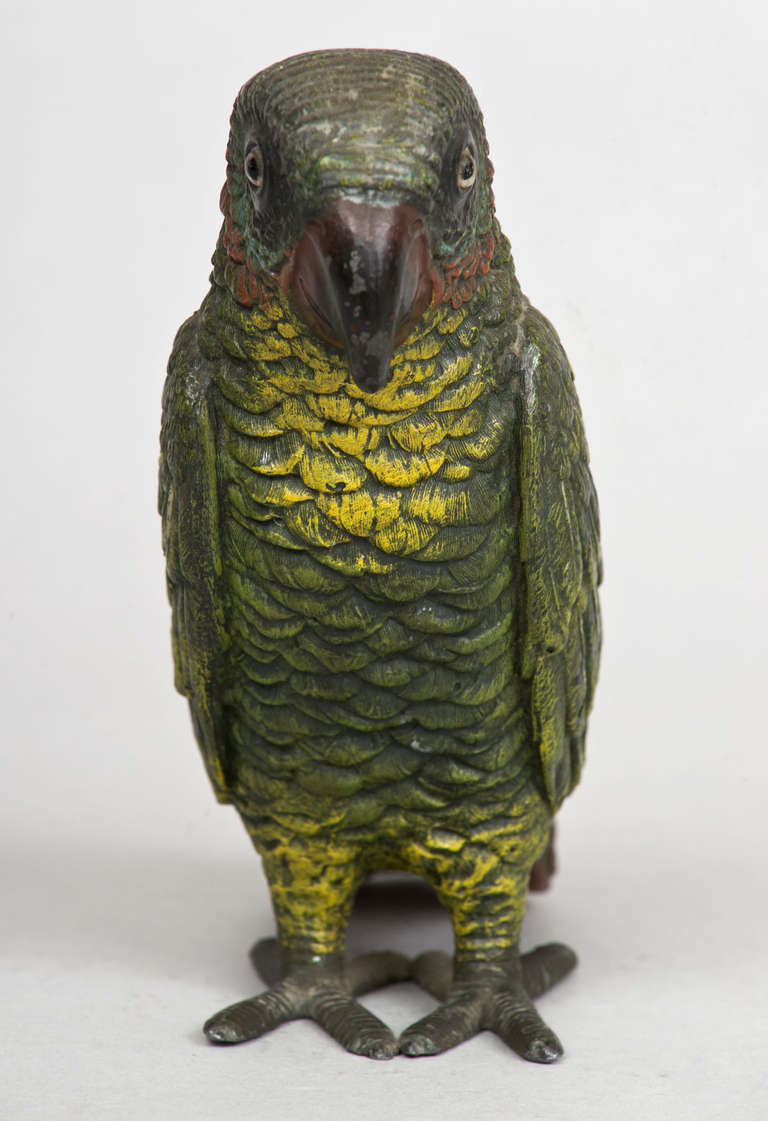 19th Century Vienna Cold-Painted Parrot circa 1870