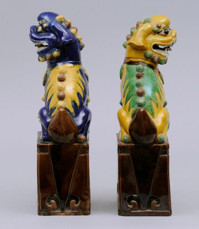 Pair of Chinese Foo Dogs 2
