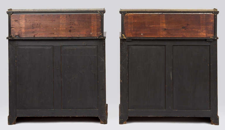 English Pair of Regency Period Rosewood Bookcases, circa 1820 For Sale 5