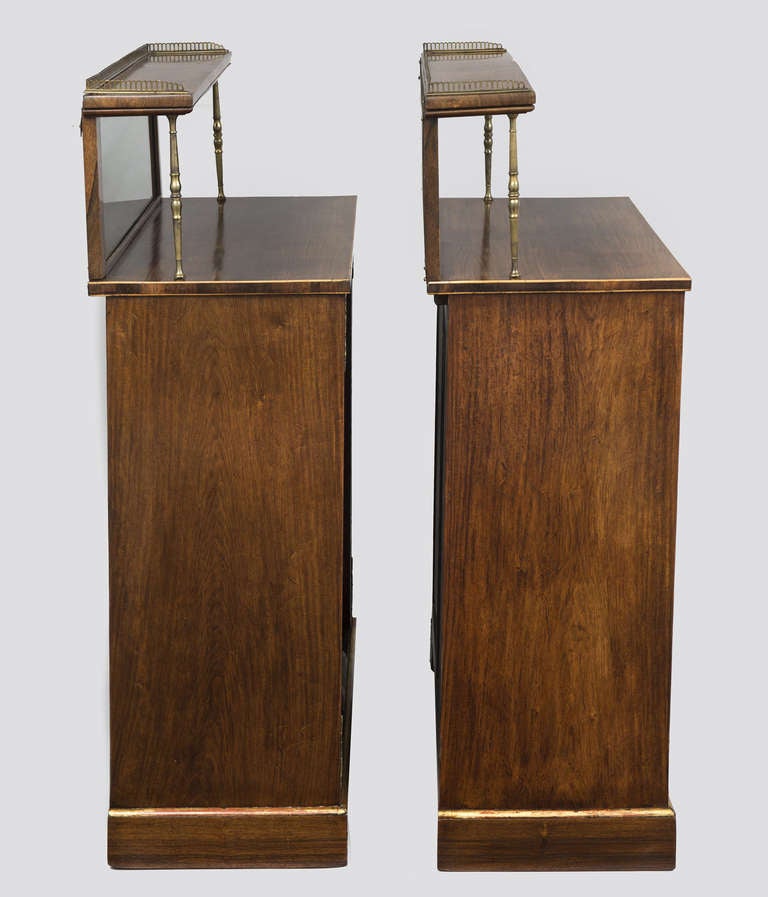 British English Pair of Regency Period Rosewood Bookcases, circa 1820 For Sale