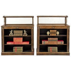 English Pair Regency Period Rosewood Bookcases, Circa 1820 5