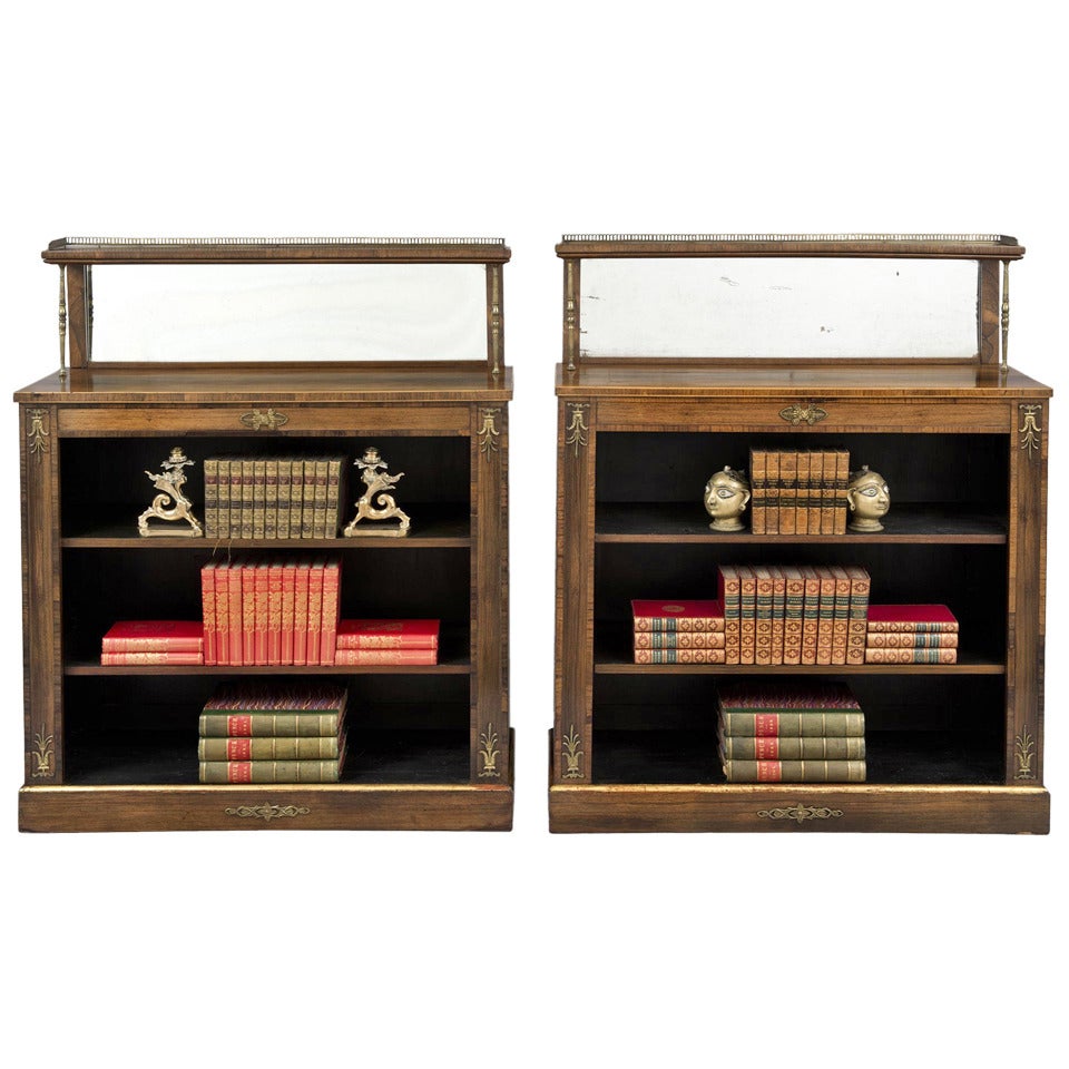 English Pair of Regency Period Rosewood Bookcases, circa 1820 For Sale