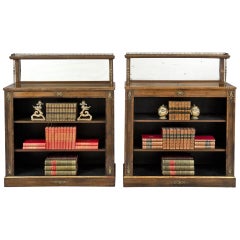 Antique English Pair of Regency Period Rosewood Bookcases, circa 1820