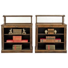 English Pair of Regency Period Rosewood Bookcases, circa 1820