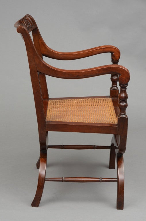 Mahogany English Carved X-Frame Armchair For Sale