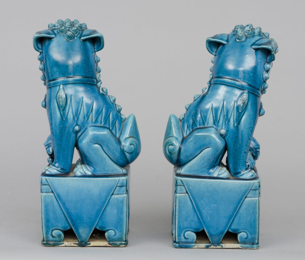 19th Century Chinese Pair Turquoise Foo Dogs