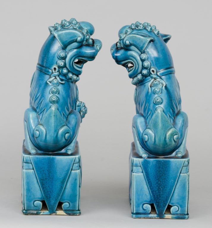 Porcelain Chinese Pair Turquoise Foo Dogs