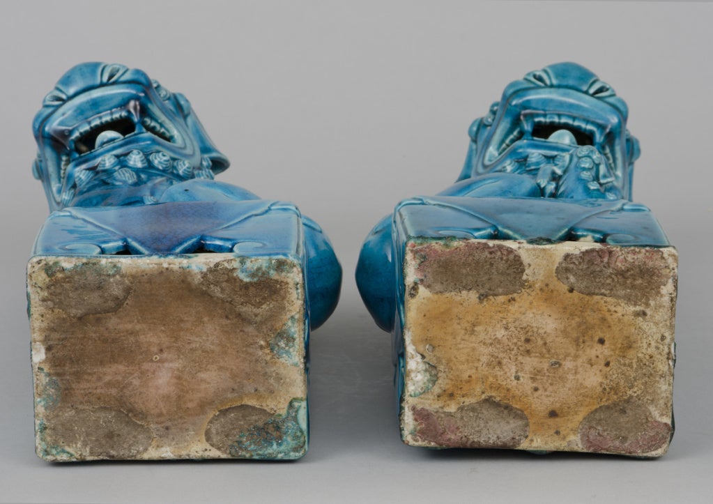 Chinese Pair Turquoise Foo Dogs 1