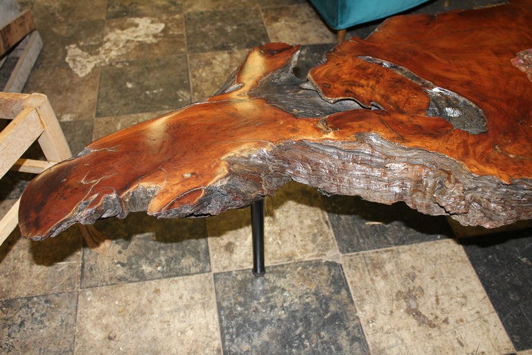 Beautiful Redwood Coffee Table With Inlaid Petrified Wood In Excellent Condition In Palm Springs, CA