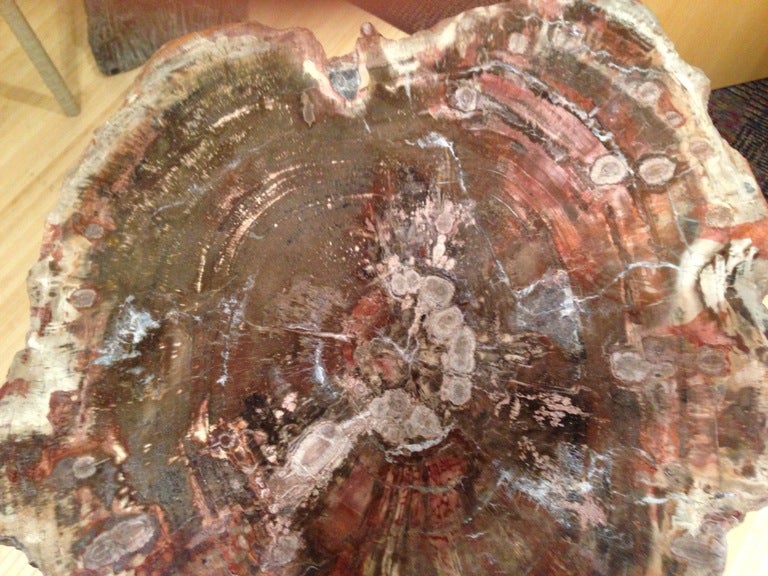 American Arizona Petrified Wood Table Artisan Made Base