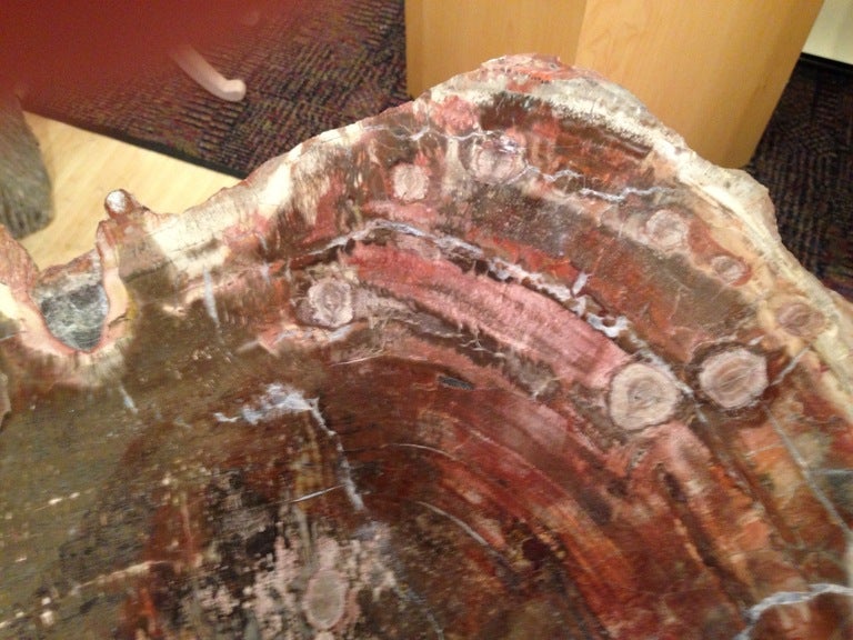 Hand-Crafted Arizona Petrified Wood Table Artisan Made Base