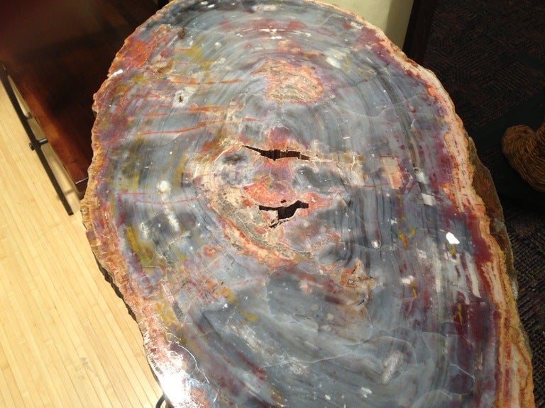 A magnificent Arizona Petrified wood slab that is millions of years old on a 1990's artisan made base. Arizona petrified has absorbed many minerals which lead to its wonderful coloration. There is quite a bit of indonesian petrified wood on the