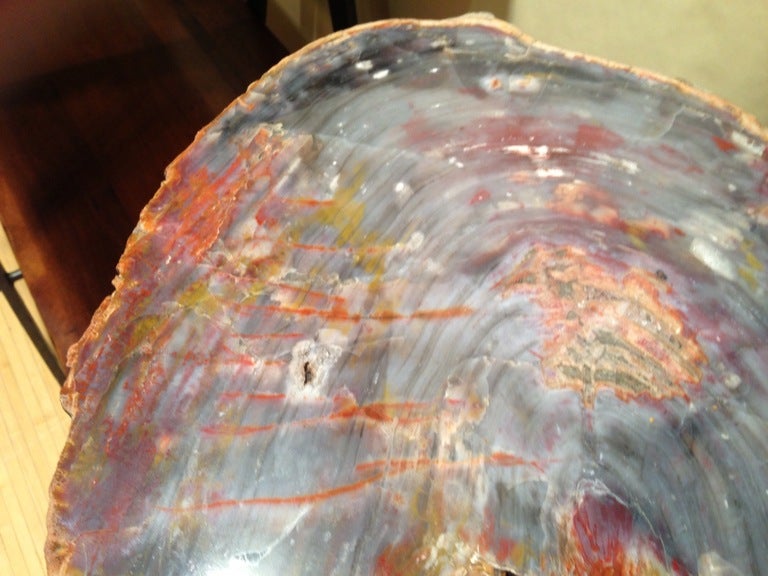 American Arizona Petrified Wood Table With Artisan Made Base