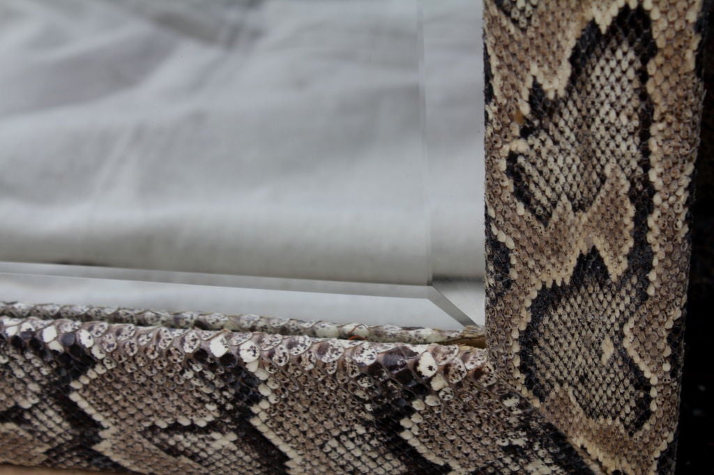 20th Century 1980's Python Snakeskin covered mirror